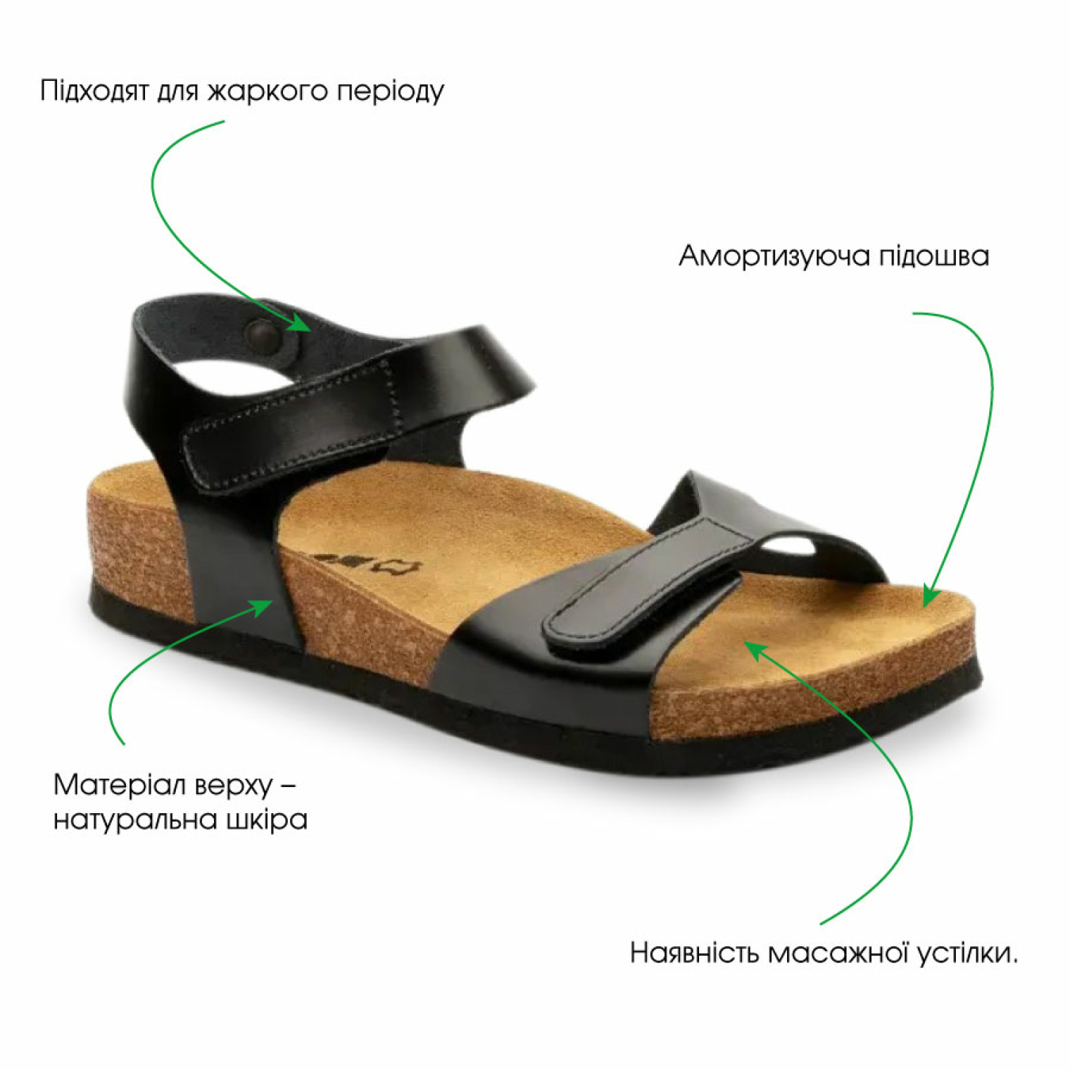 Особенности модели