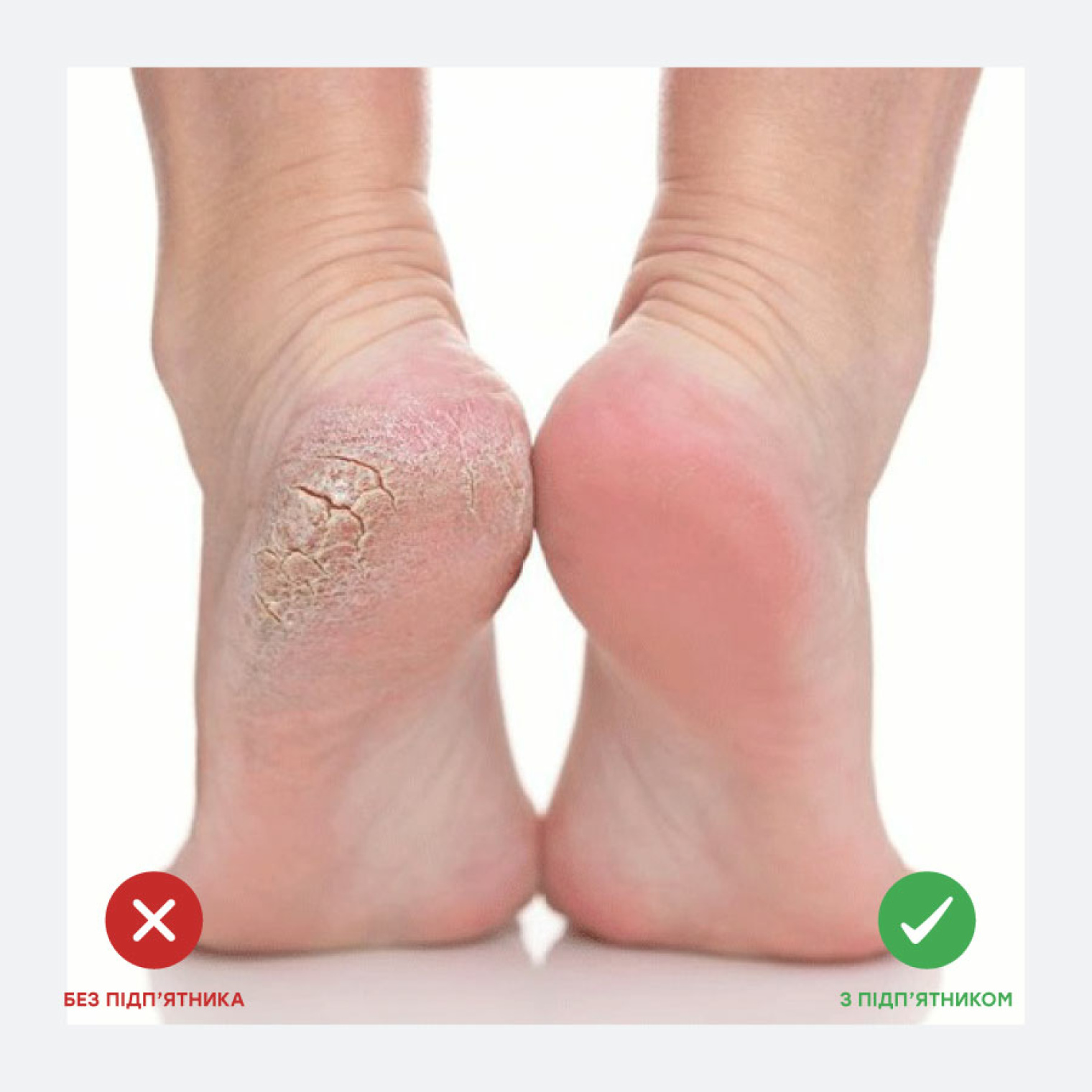 <span>Показання для застосування</span>