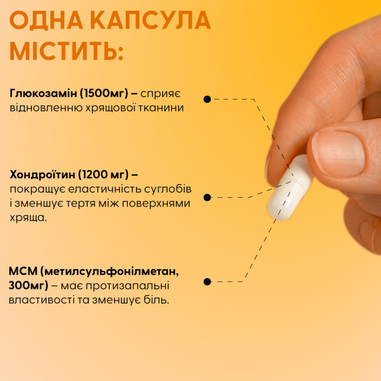 <span>Що таке NOW Глюкозамін, Хондроїтин з МСМ?</span>