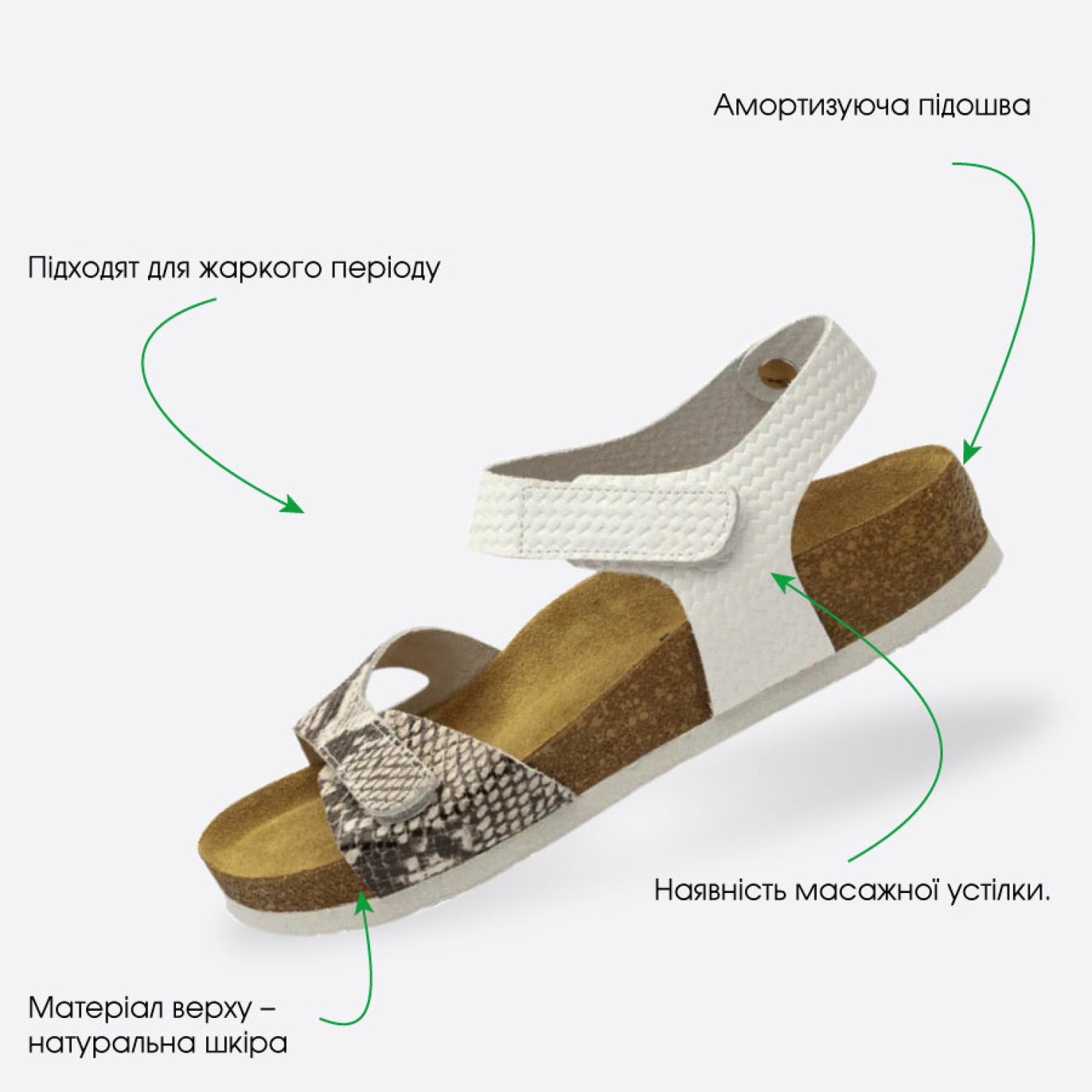 Особенности модели