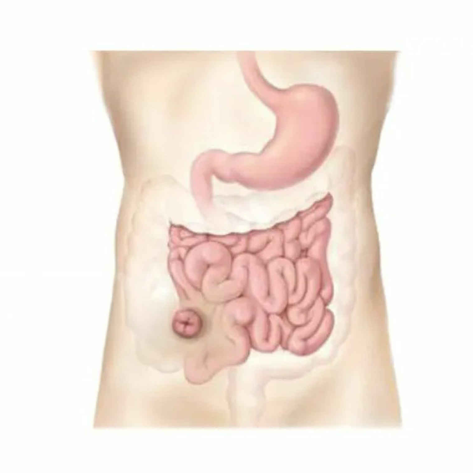 Показания к использованию: