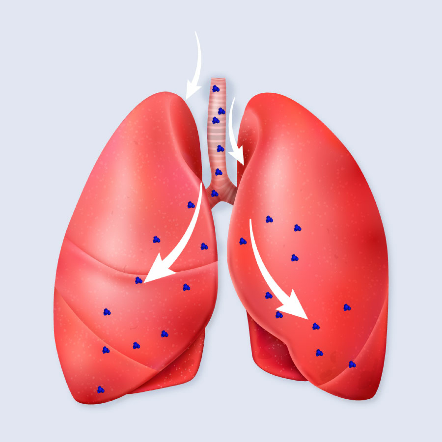 <span data-mce-style="color: rgb(0, 0, 0);" style="color: rgb(0, 0, 0);">Особливості інгалятора</span>