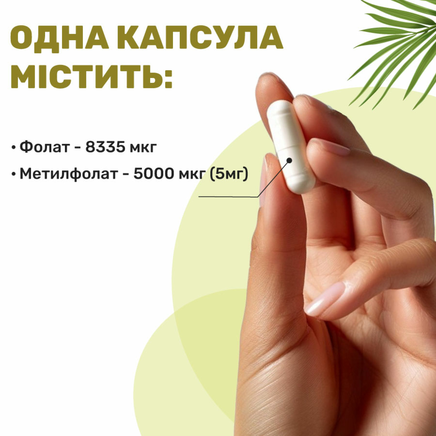 <span style="color: rgb(0, 0, 0);" data-mce-style="color: rgb(0, 0, 0);">Особенности добавки Dr. Mercola</span>