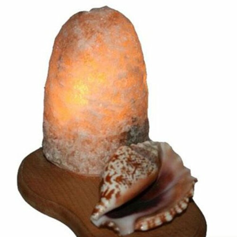 Солевая лампа Ракушка 2 кг