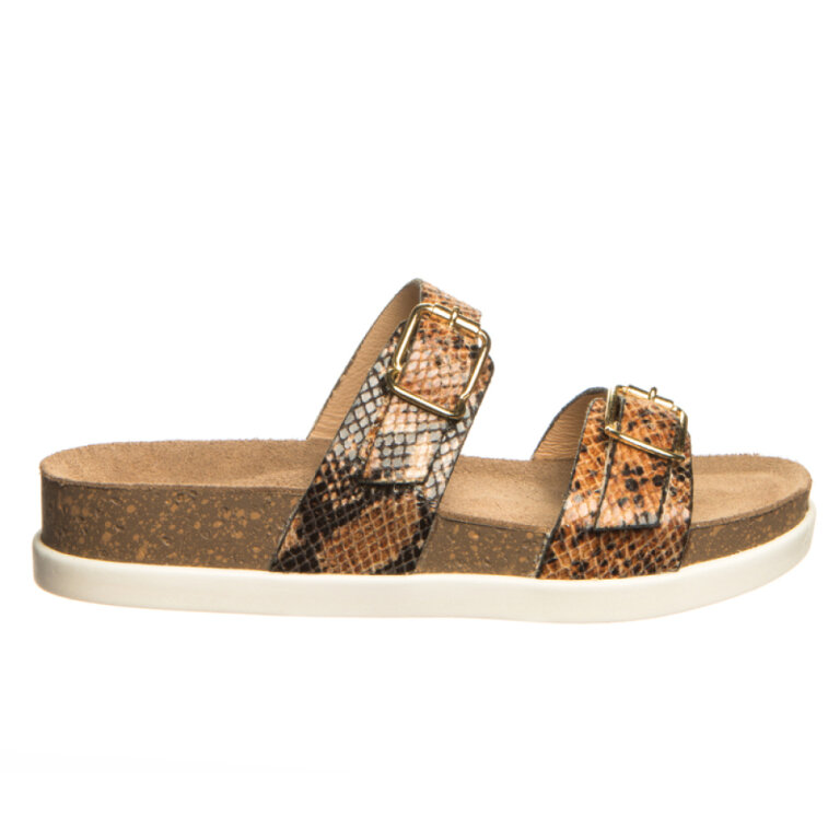 Анатомічні сабо Leon 1203 змія