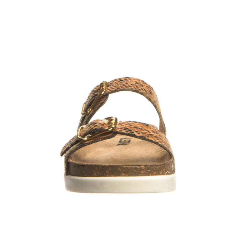 Анатомічні сабо Leon 1203 змія