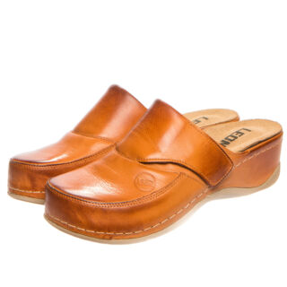 Анатомічні сабо Leon 2019 коричневі