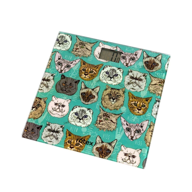 Ваги підлогові Rotex RSB09-P