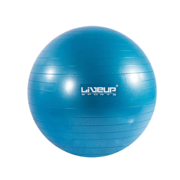 Фитбол LiveUp LS3221-65b голубой, 65 см
