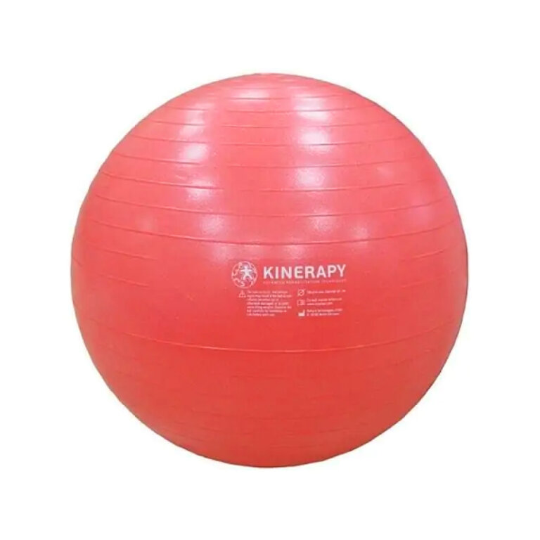 Мяч гимнастический KINERAPY GYMNASTIC BALL RB265 NEW (диаметр 65 см)