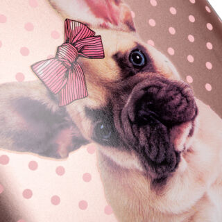 Рюкзак каркасний 1Вересня H-29 Dolly Dog