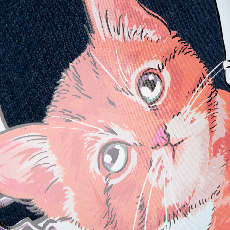 Рюкзак каркасний 1Вересня H-29 My Little Pet