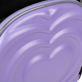 Рюкзак шкільний напівкаркасний YES S-100 Girl's Dream