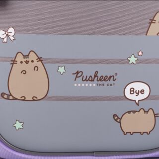 Рюкзак шкільний напівкаркасний YES S-109 Pusheen Playful