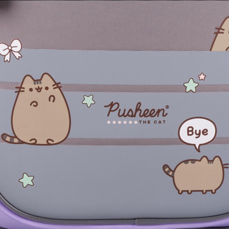 Рюкзак шкільний напівкаркасний YES S-109 Pusheen Playful