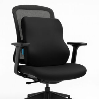 Анатомічна подушка для авто під спину Ortomedica 7042