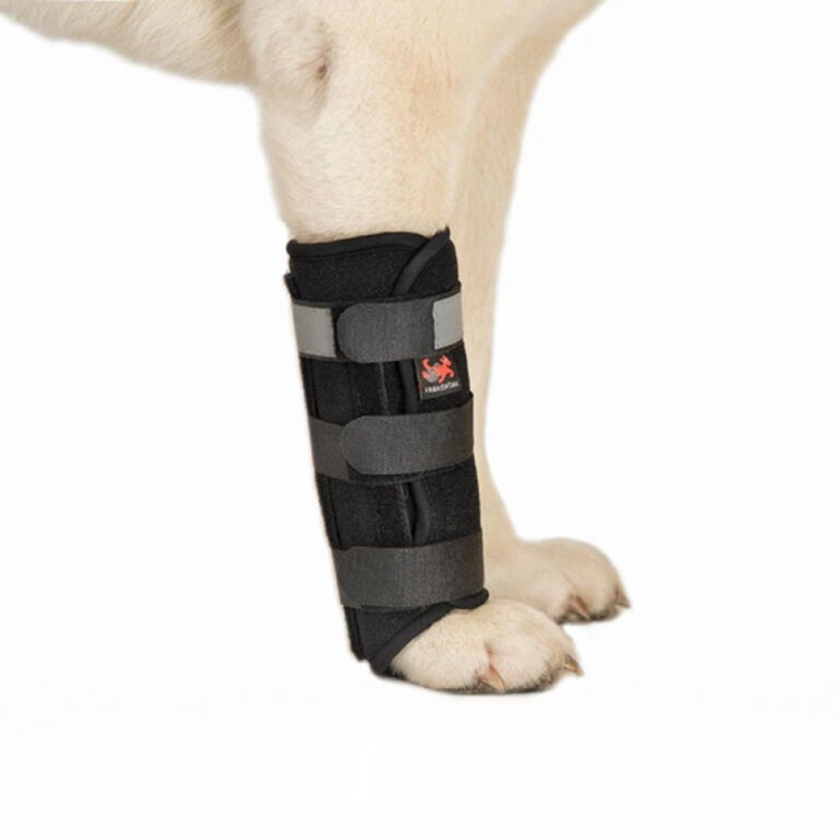 Бандаж для зап’ястя лапи FRAKISHTAK стандартний, для лівої лапи