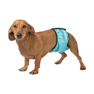 Гігієнічний вбираючий пояс для псів FRAKISHTAK Okey Doggy, колір: блакитний