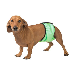 Гігієнічний вбираючий пояс для псів FRAKISHTAK Okey Doggy, колір: салатовий