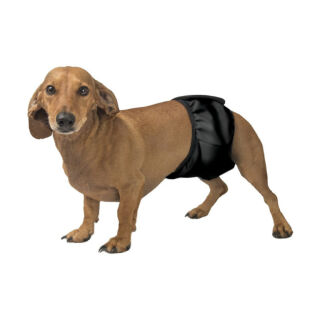 Гігієнічний вбираючий пояс для псів FRAKISHTAK Okey Doggy, колір: чорний