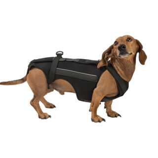 Корсет для хребта FRAKISHTAK