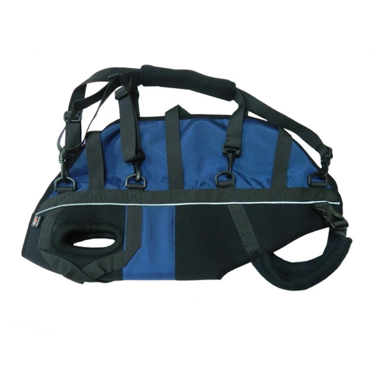 Підтримка для всього тулуба FRAKISHTAK чорний із синім