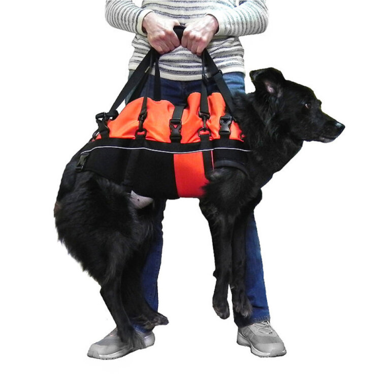 Підтримка для всього тулуба FRAKISHTAK чорний із червоним