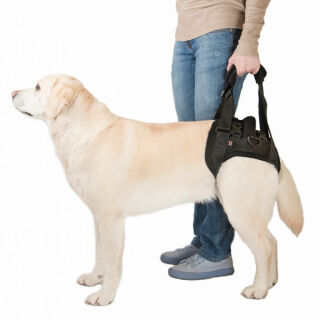 Підтримка задня «Трусами» FRAKISHTAK