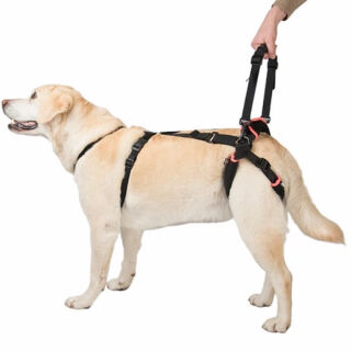 Підтримка ручна задня «Кільцями» FRAKISHTAK для великих собак понад 35 кг