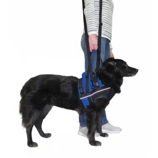 Підтримка ручна передня FRAKISHTAK колір: синій з чорним