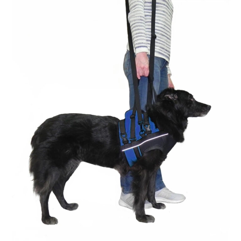 Підтримка ручна передня FRAKISHTAK колір: синій з чорним