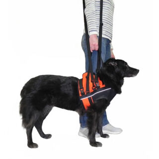 Підтримка ручна передня FRAKISHTAK колір: червоний з чорним