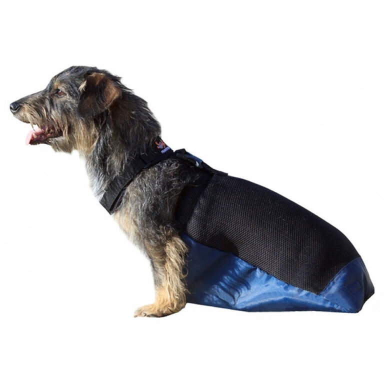 Повзунки для тварин сумка-конверт FRAKISHTAK (у комплекті одна багаторазова пелюшка) колір: чорний з синім