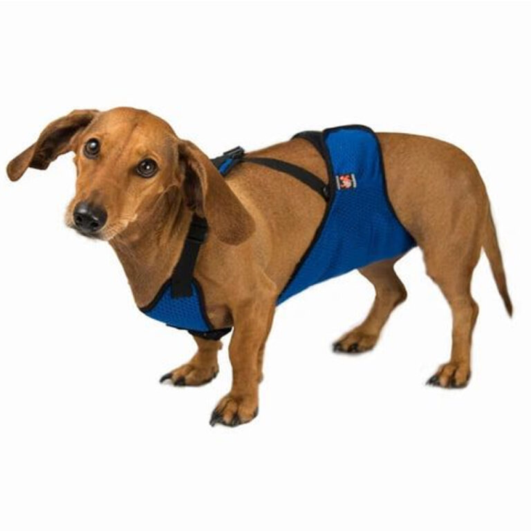 Труси для псів (у комплекті один багаторазовий вкладиш) FRAKISHTAK колір: синій