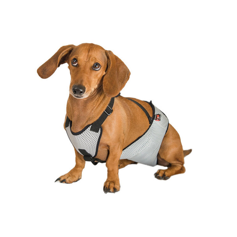 Труси для псів (у комплекті один багаторазовий вкладиш) FRAKISHTAK колір: сірий