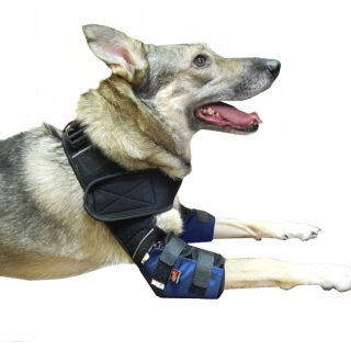 Налокітники Outdoor (аутдор) FRAKISHTAK, колір: синій