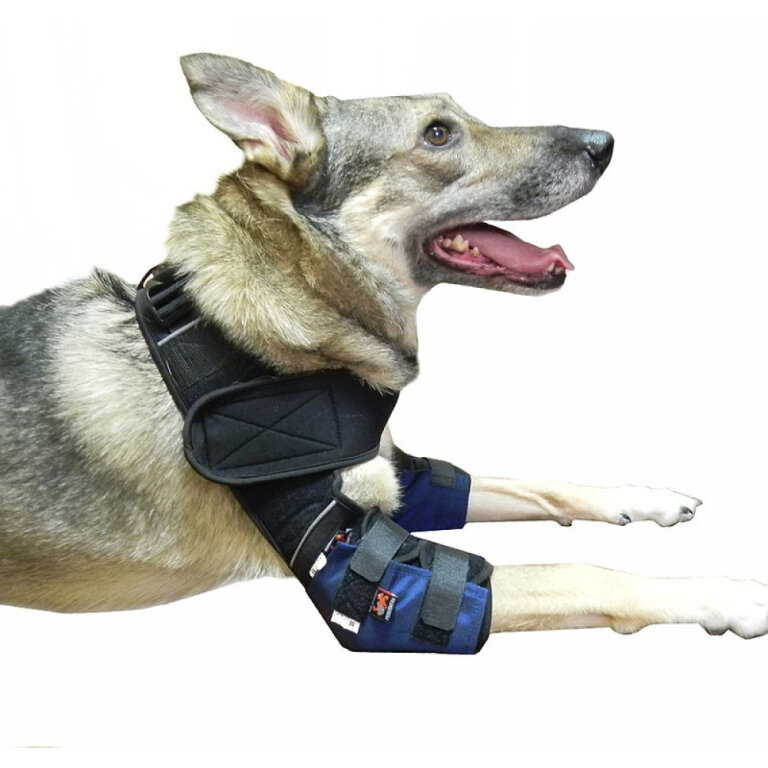 Налокітники Outdoor (аутдор) FRAKISHTAK, колір: синій