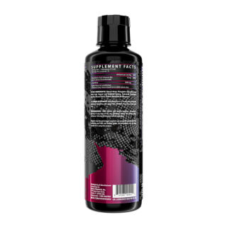 Liquid L-Carnitine 3000 - 480ml Berry Blast