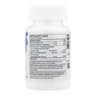 Advanced Iron Complex - 60 caps