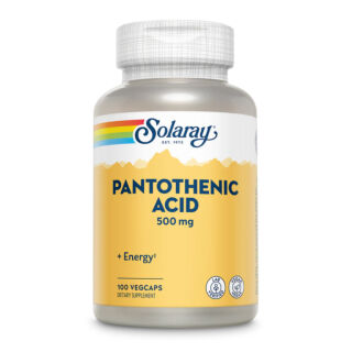 Pantothenic Acid 500mg - 100 veg caps