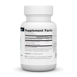 Bilberry Extract 100 mg - 30 tabs