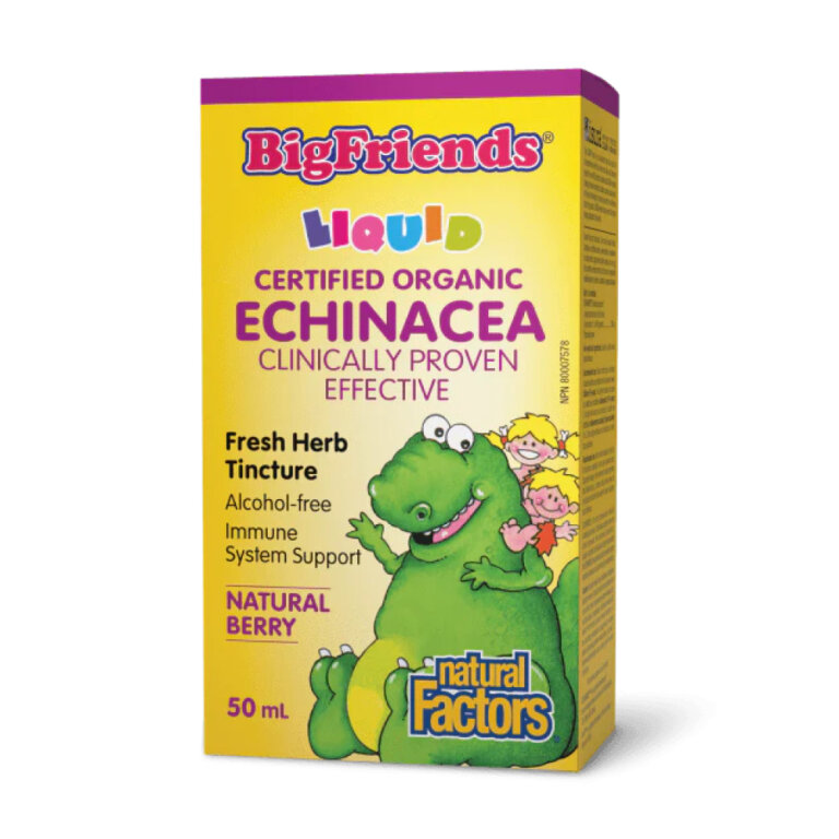 BigFriends Echinacea Alcohol-Free Fresh Herb Tincture for Kids - 50 ml