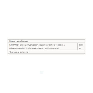 BigFriends Echinacea Alcohol-Free Fresh Herb Tincture for Kids - 50 ml