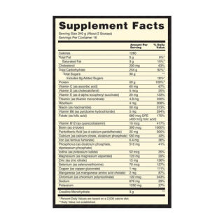 Serious Mass - 5450g Chocolate Mint