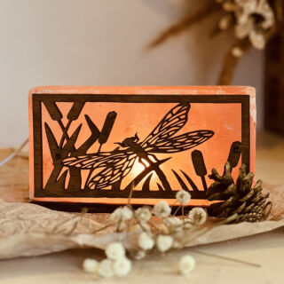 Лампа солевая "Стрекоза" 2 кг